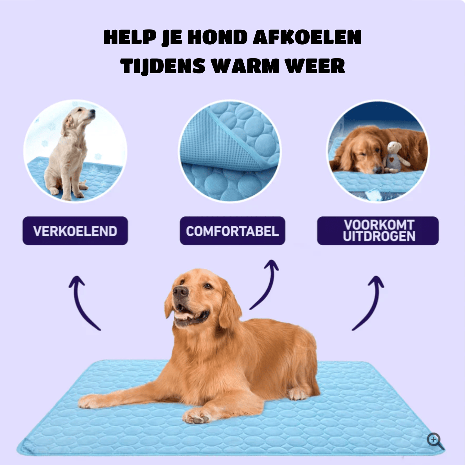 Verkoelende Hondenmat