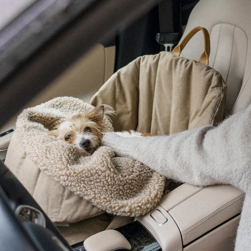 Verwend Nest autobed